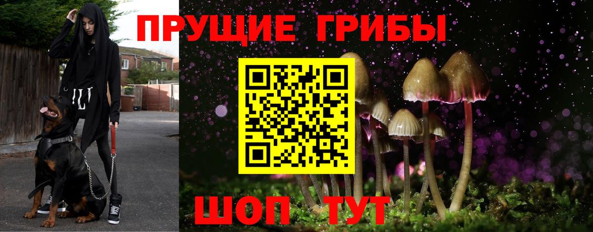 Галлюциногенные грибы ЛСД Тайшет